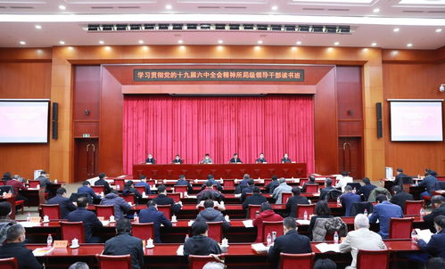 演出直播音响灯光协同：让画面与声音都到位-摄行影像