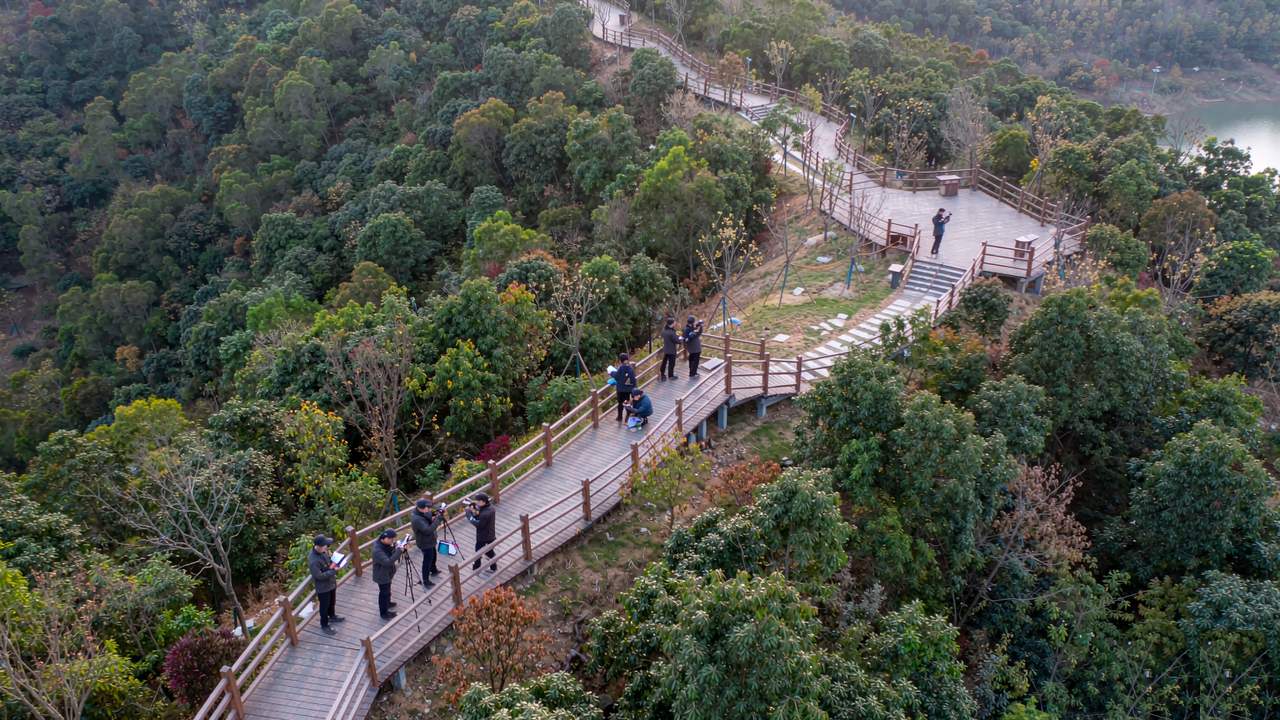 云南VR全景/航拍怎么选才不踩坑（摄行影像建议）